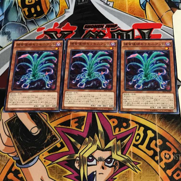 捕食植物セラセニアント SPFE 2 ノーマル 3枚セット てら