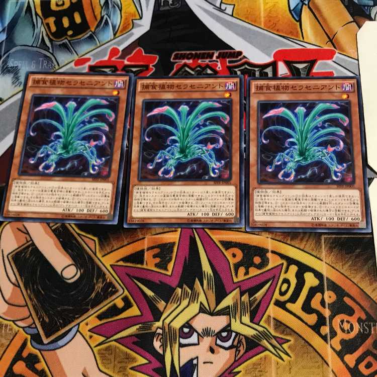 捕食植物セラセニアント SPFE 3 ノーマル 3枚セット てら