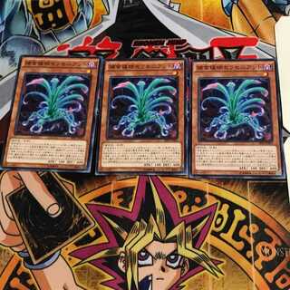 捕食植物セラセニアント SPFE 3 ノーマル 3枚セット てら