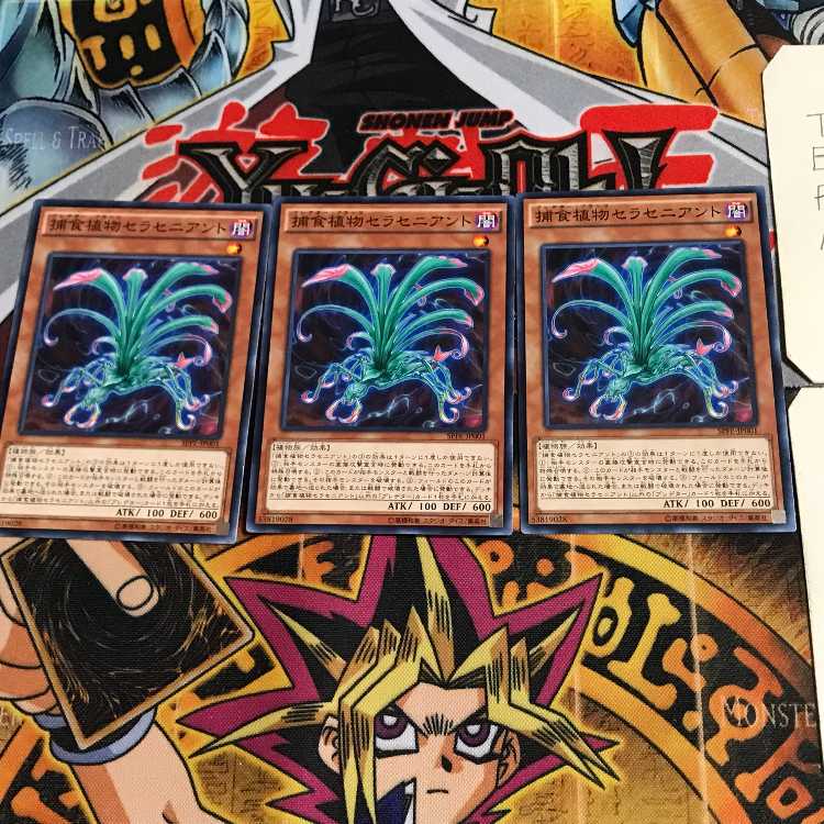 捕食植物セラセニアント SPFE 6 ノーマル 3枚セット てら