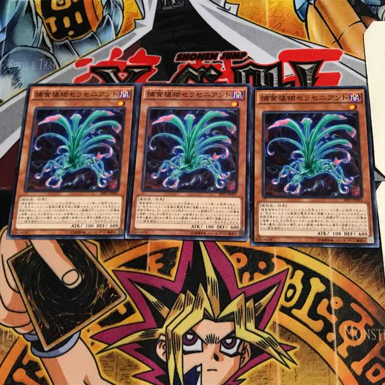 捕食植物セラセニアント SPFE 8 ノーマル 3枚セット てら