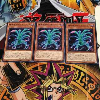 捕食植物セラセニアント SPFE 8 ノーマル 3枚セット てら