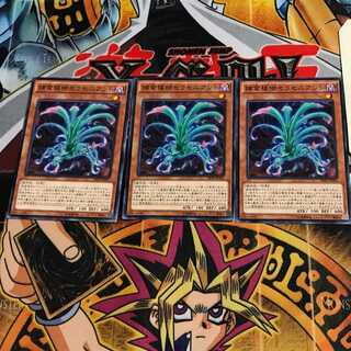 捕食植物セラセニアント SPFE 9 ノーマル 3枚セット てら