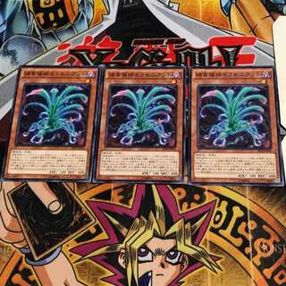 Predaplant Sarraceniant SPFE 10 Normal Set of 3 Tera