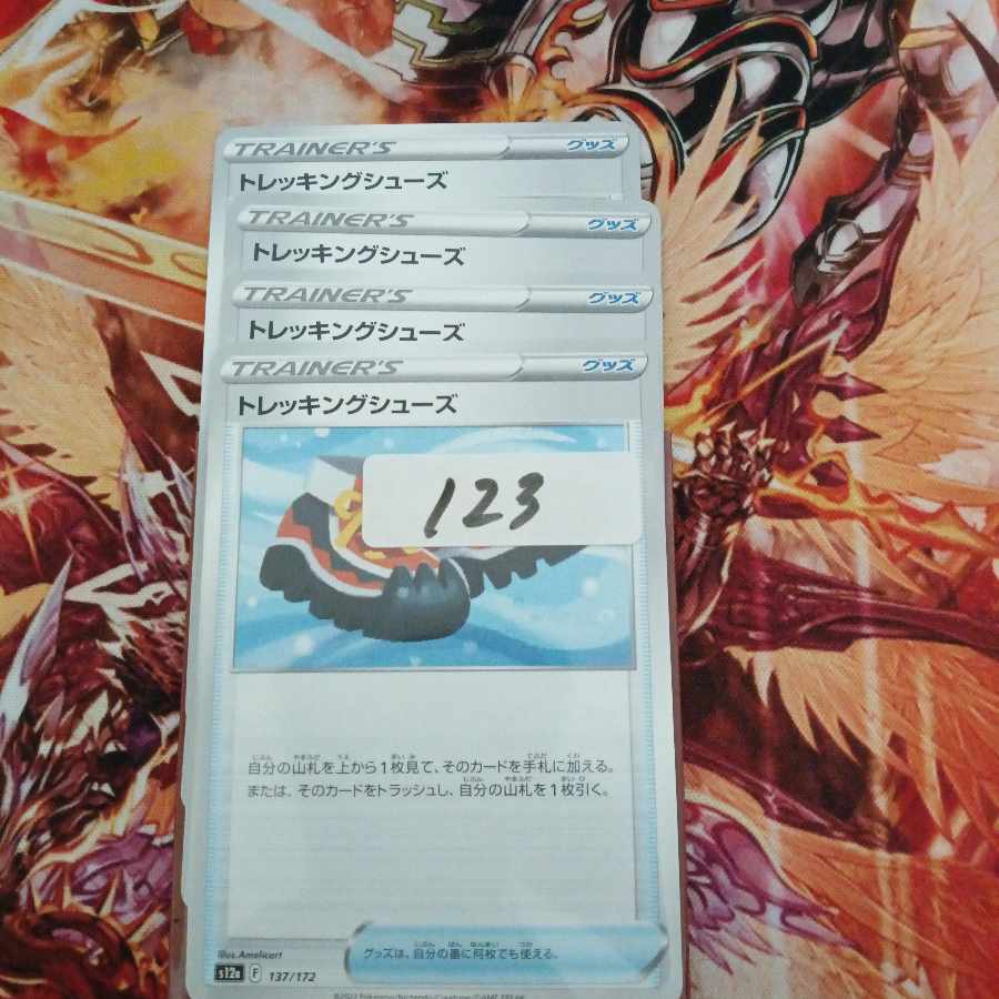 トレッキングシューズ 137/172