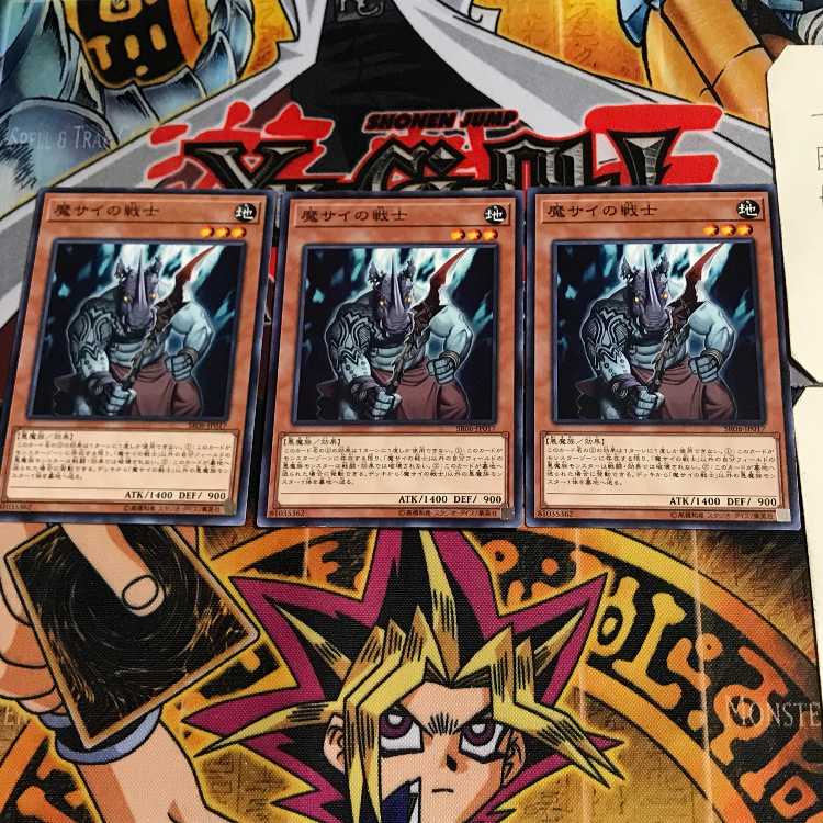 魔サイの戦士 SR06 6 ノーマル 3枚セット てら