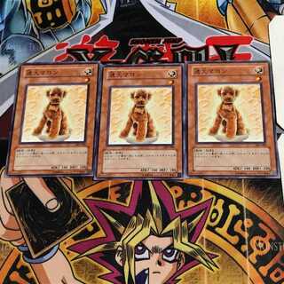 迷犬マロン 305 3 ノーマル 3枚セット てら