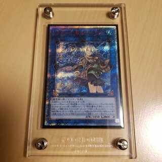 清冽の水霊使いエリア　20th