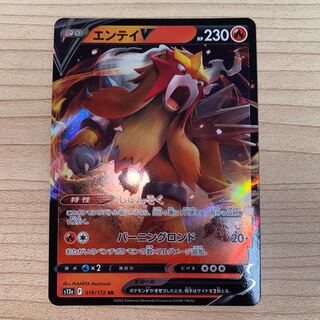 EnteiV RR 019/172