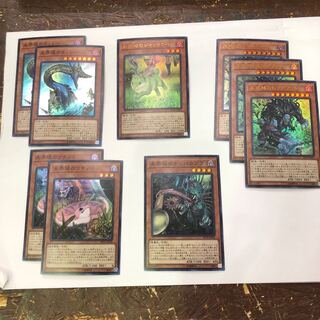 遊戯王　未界域いろいろ