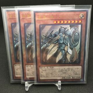 教導の騎士フルルドリス