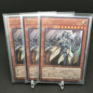 教導の騎士フルルドリス