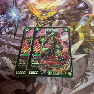 ドマンモ龍樹2枚