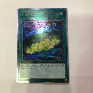 サイバネット・マイニング　20thSEC