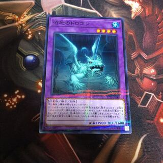 沼地のドロゴン