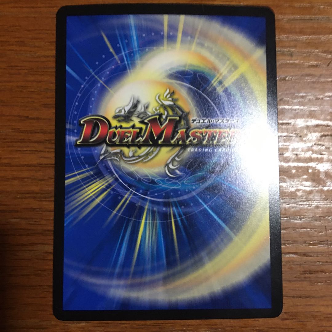 なの様専用 天下五剣カイザー