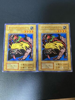 マスター・アン・エキスパート