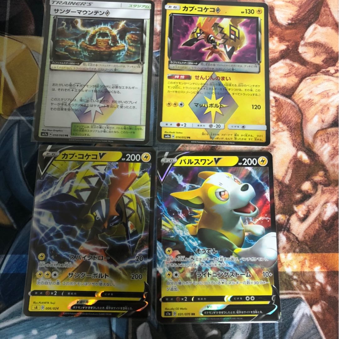 リュウさん専用　サンダーマウンテン　カプコケコ◇ パルスワンv カプコケコv