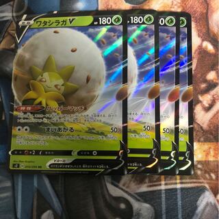 ワタシラガV 4枚