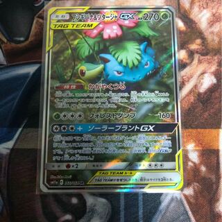 フシギバナ&ツタージャ　SA