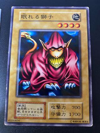 眠れる獅子 1枚