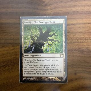 全てを護るもの、母聖樹　他言語 1枚