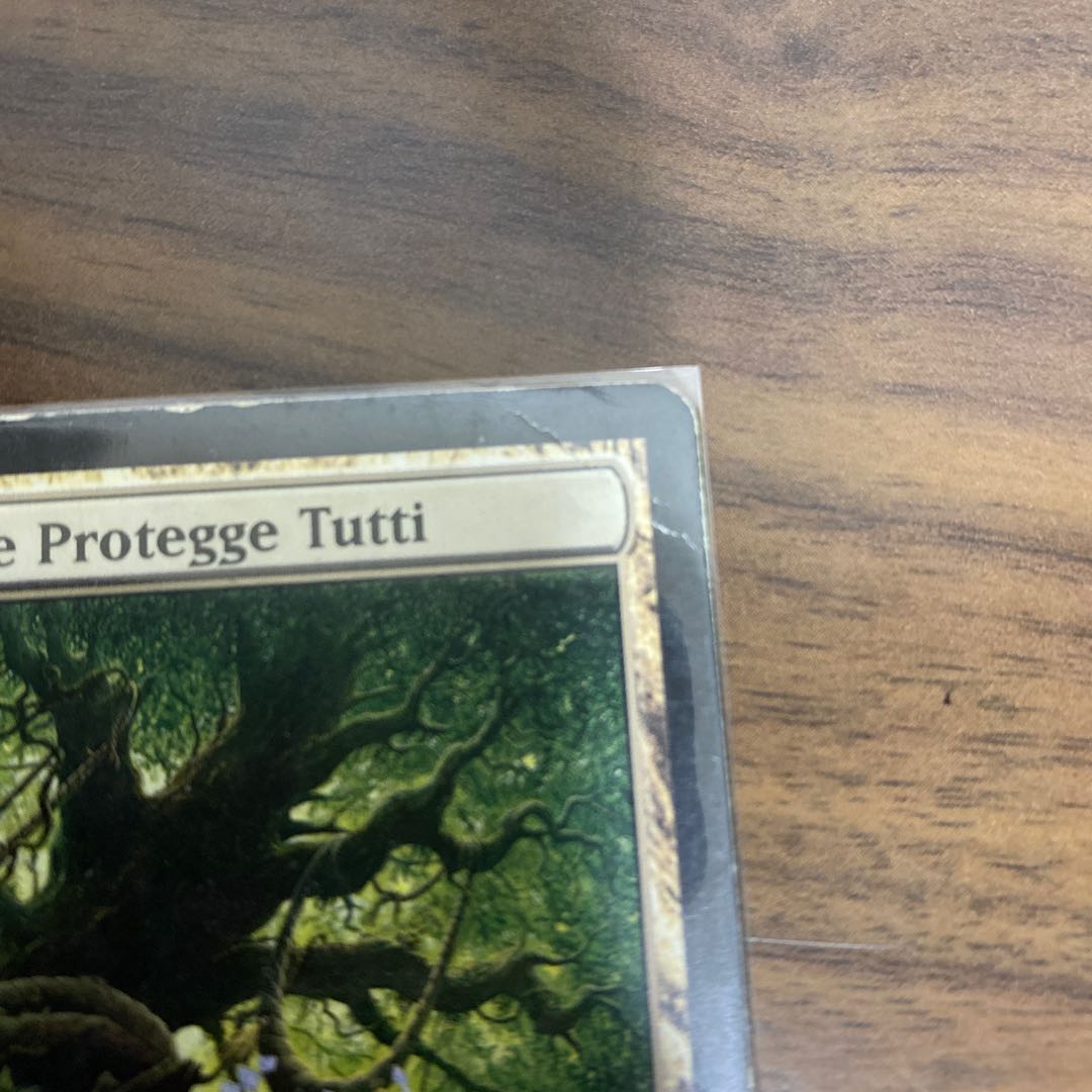 全てを護るもの、母聖樹　他言語 1枚