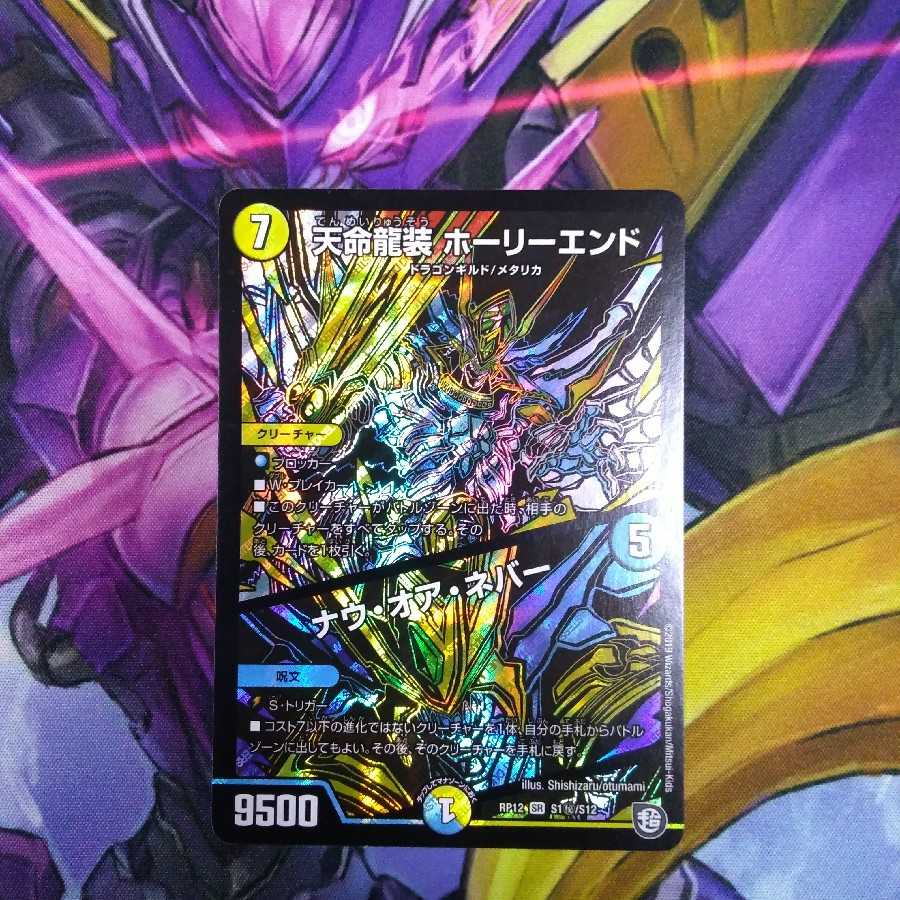 天命龍装 ホーリーエンド/ナウ・オア・ネバー シークレット