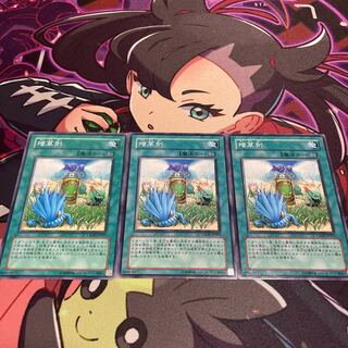 Miracle Fertilizer Normal JP057