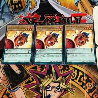 マイルド・ターキー 17PR 7 ノーマル 3枚セット てら