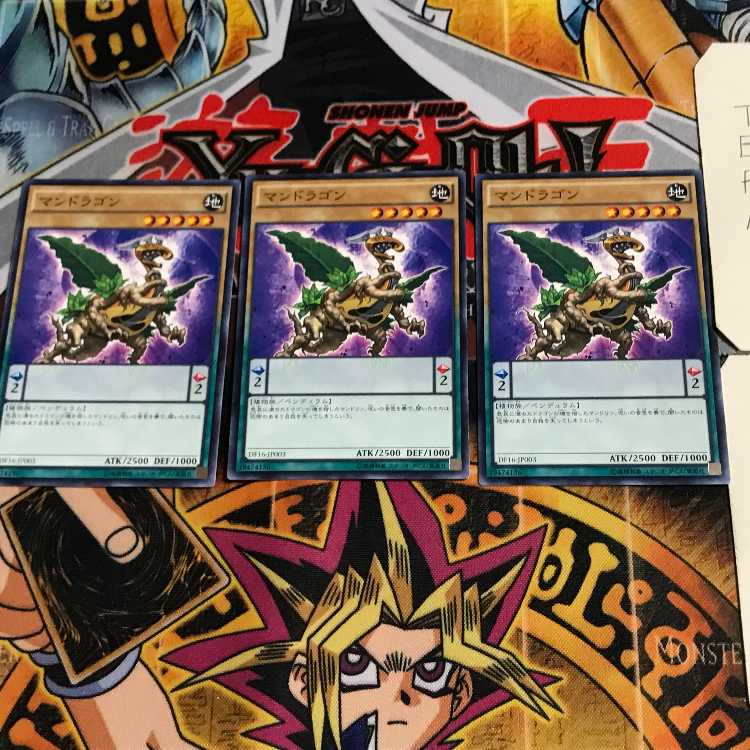 マンドラゴン DF16 2 ノーマル 3枚セット てら