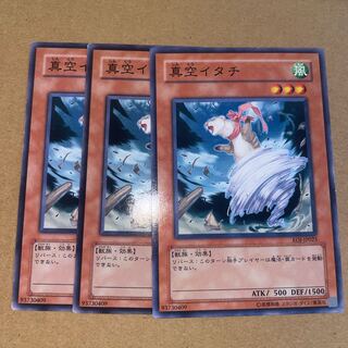 真空イタチ ノーマル JP205