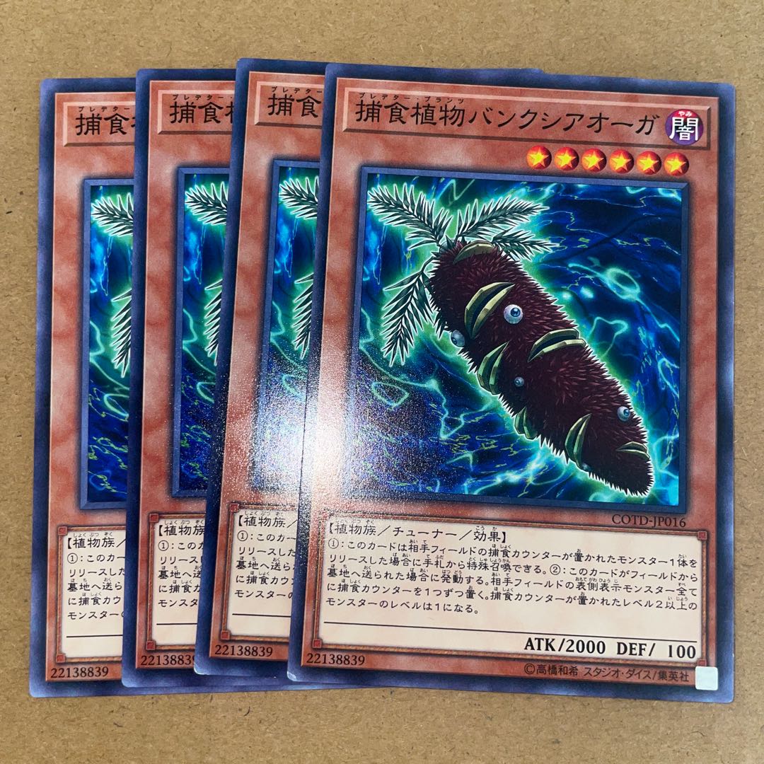 捕食植物バンクシアオーガ