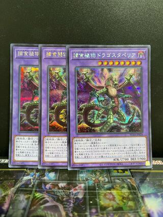 遊戯王スタジオ 5840 捕食植物ドラゴスタペリア シークレットレア JP028