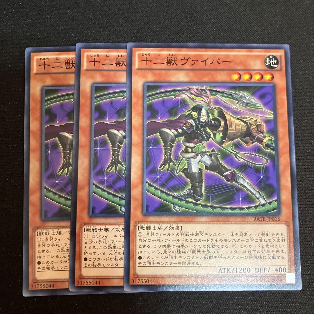 Zoodiac Whiptail Normal JP016 3 pieces Special Price