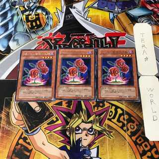 返り咲く薔薇の大輪 1 レア 3枚セット てら