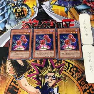 返り咲く薔薇の大輪 2 レア 3枚セット てら