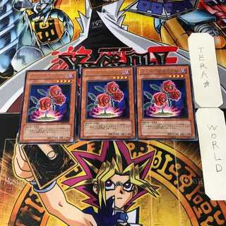 返り咲く薔薇の大輪 4 レア 3枚セット てら