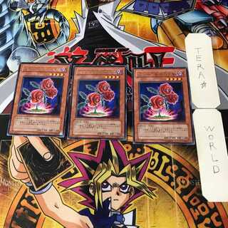 返り咲く薔薇の大輪 6 レア 3枚セット てら