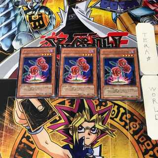 返り咲く薔薇の大輪 7 レア 3枚セット てら