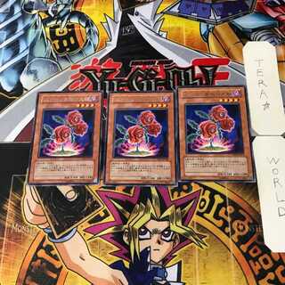 返り咲く薔薇の大輪 8 レア 3枚セット てら