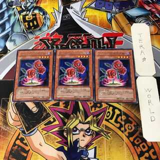 返り咲く薔薇の大輪 9 レア 3枚セット てら