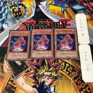 返り咲く薔薇の大輪 TSHD 2 レア 3枚セット てら