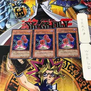 返り咲く薔薇の大輪 TSHD 11 レア 3枚セット てら