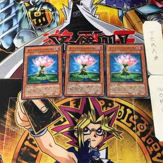 サクリファイス・ロータス 4 ノーマル 3枚セット てら