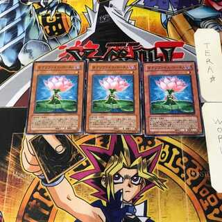 サクリファイス・ロータス 5 ノーマル 3枚セット てら