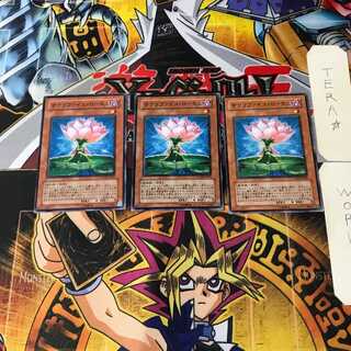 サクリファイス・ロータス 8 ノーマル 3枚セット てら