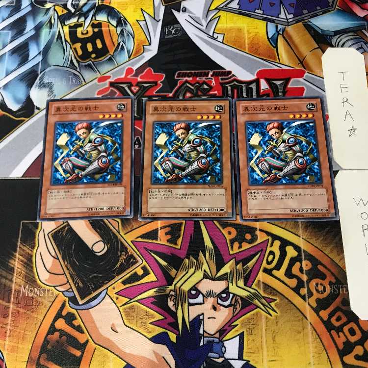 異次元の戦士 10 ノーマル 3枚セット てら