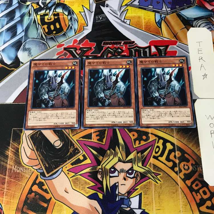 Fiendish Rhino Warrior 11 Normal, set of 3 Tera.