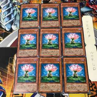 サクリファイス・ロータス 1 ノーマル 9枚セット てら